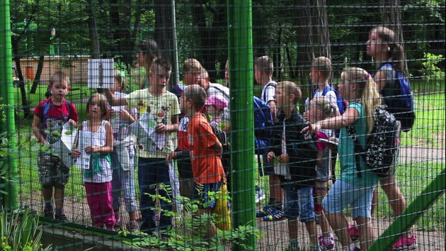Prehistoria i przyroda na wycieczce