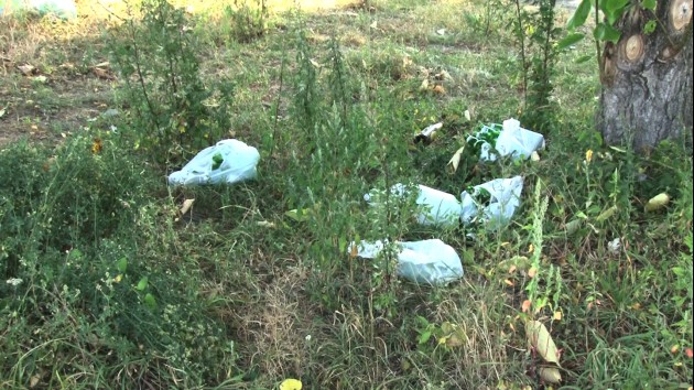 Mieszkaniec Piekar skarży się na bałagan na Bieszczadzkiej  