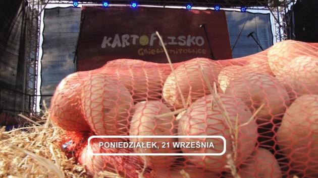 LEGNICA, Informacje DAMI TV, 21-09-2015 