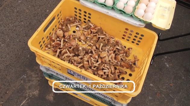 LEGNICA, Informacje Dami TV, 01.10.2015