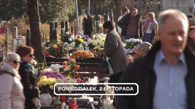 LEGNICA, Informacje Dami TV, 02.11.2015