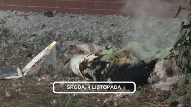 LEGNICA, Informacje Dami TV, 04.11.2015