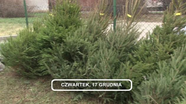 LEGNICA, Informacje Dami TV, 17.12.2015