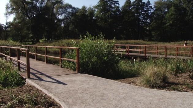  Nowe zwierzęta i wydarzenia w lubińskim parku 