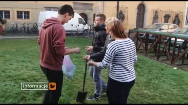 Za kilka miesięcy irysy i hiacynty będą zdobić I LO 