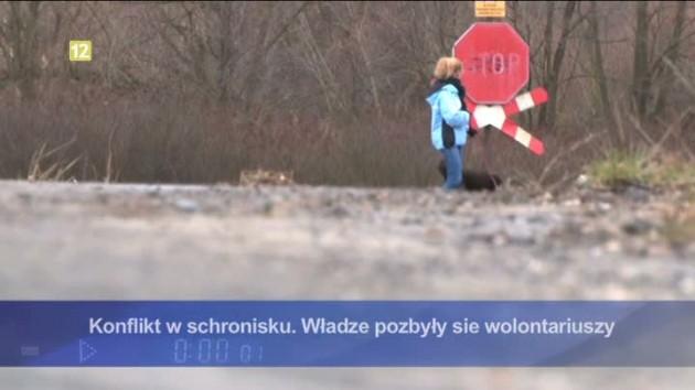 Konflikt w schronisku. Władze pozbyły się wolontariuszy