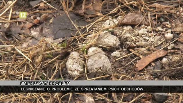 "Śmierdzący problem"