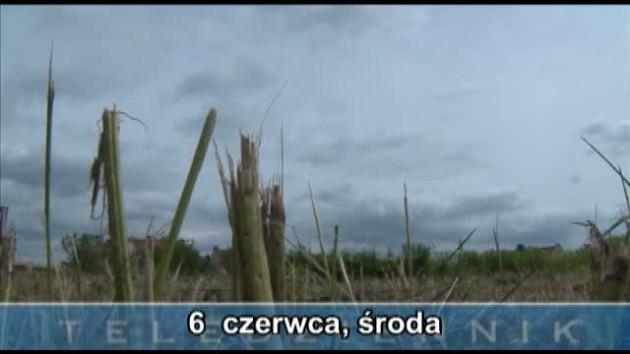 Teledziennik, 06-06-2012