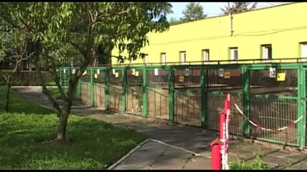 Pracownik schroniska pogryziony przez psa