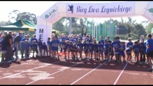 25 bieg lwa legnickiego