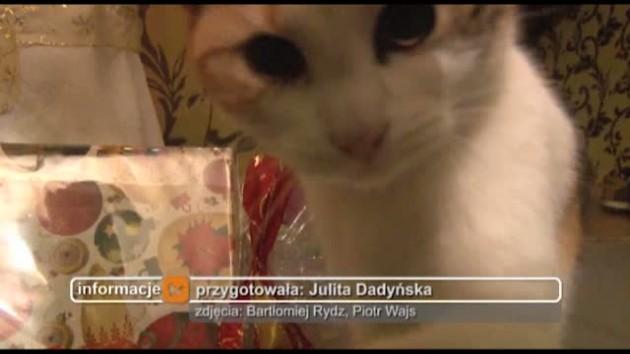 Przemówią ludzkim głosem ?