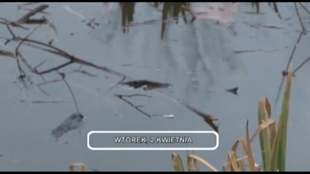 Informacje, 02-04-2013
