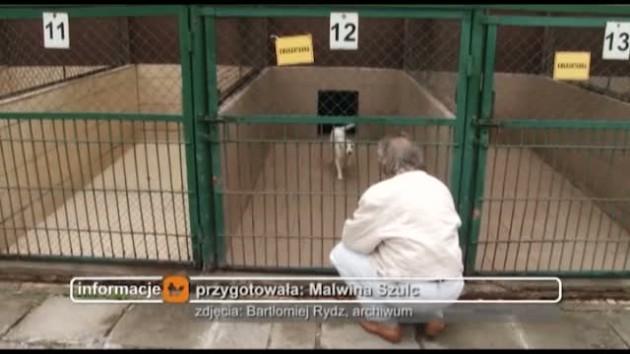 Psi horror zakończony