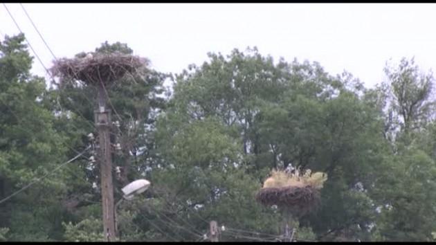 Informacje, 16-07-2013