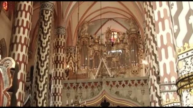 Korniki zaatakowały organy w Kościele Mariackim