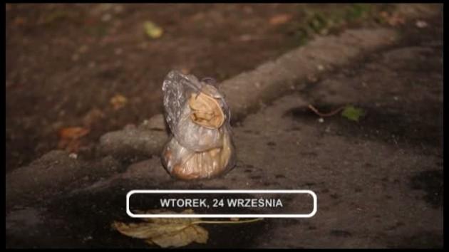 Informacje, 24-09-2013