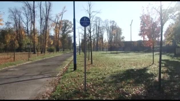 Probelmy komunikacyjne w parku