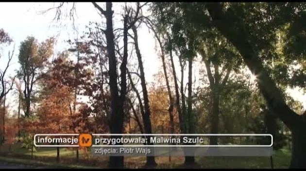 Jesień spowiła Legnice
