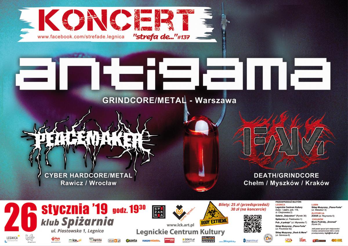 Koncert 