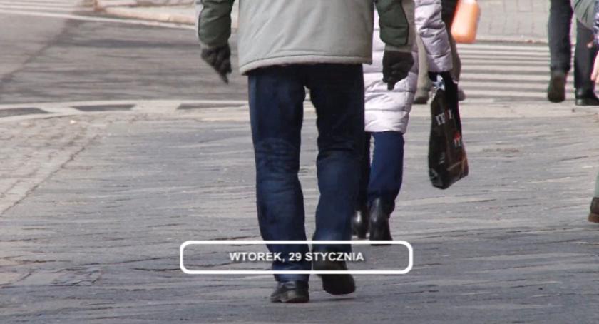 Informacje TV Dami - wydanie z 29 stycznia 2019 r.