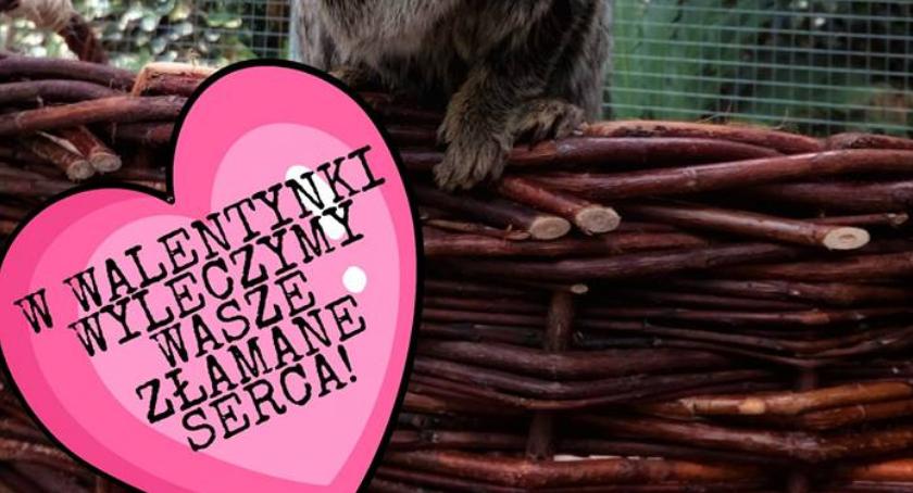 W Walentynki zemścij się na swoim byłym partnerze