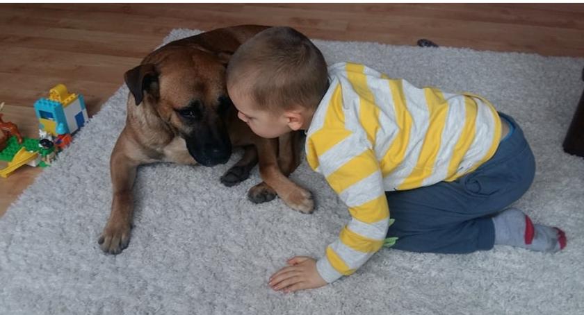 Jest pierwszy efekt naszego adopcyjnego działu. Niko znalazł dom!