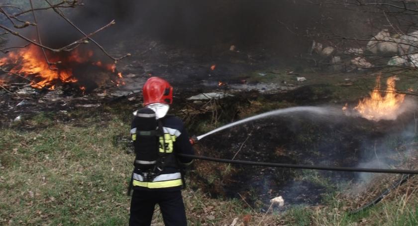 Pożar w pobliżu byłego lotniska. Spłonęło 10 arów nieużytków