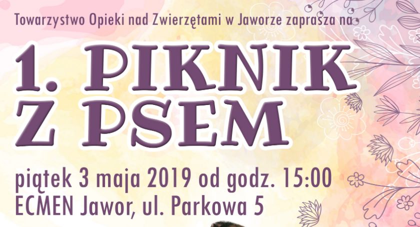 Spędź majówkę z #tozJawor