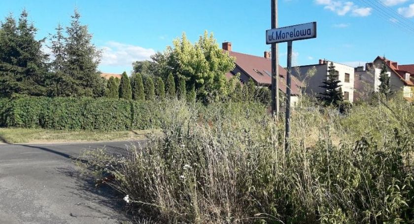 Legnica zarosła trawą, bo jest eko? „To zagraża bezpieczeństwu”