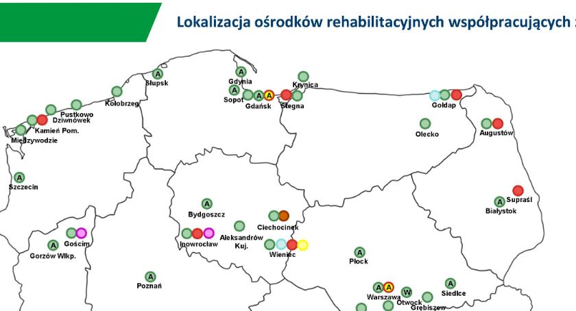 Do sanatorium na koszt ZUS. Sprawdź czy się kwalifikujesz? 