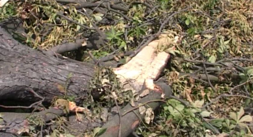 Muzealnicy zapraszają na kolejny spacer po mieście. Tym razem będzie można wysłuchać historii o parku