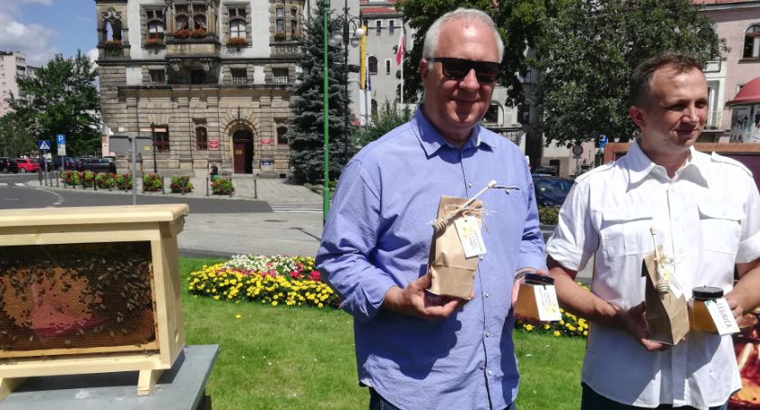 Ratusz chwali się legnickim miodem i zapowiada nowe łąki w mieście
