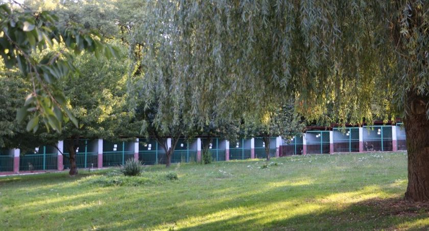 Będzie remont boksów w schronisku dla bezdomnych zwierząt