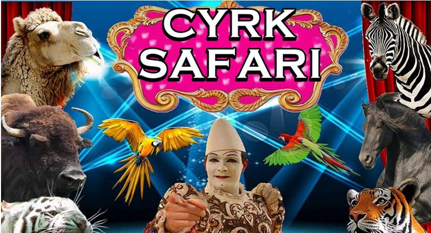 #KonkursyTuLegnica - Bajkowe show Cyrku Safari w Legnicy!