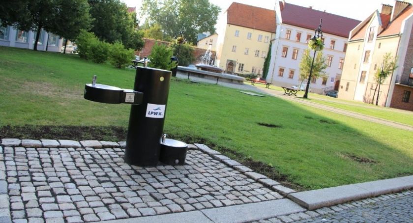 Fajny pomysł miejskiej spółki. Wodociągi pamiętają o psach