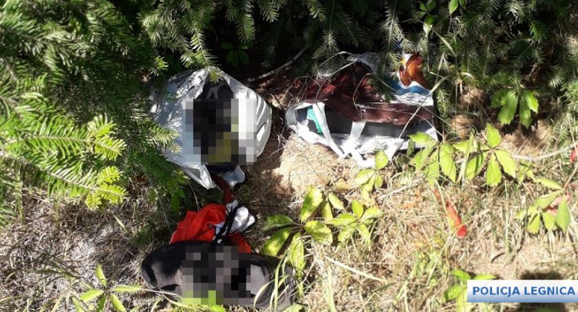Okradli dom w Legnicy i już kilka godzin później trafili za kraty