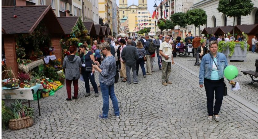 W niedzielę legnickie „dożynki”. Działkowcy i pszczelarze w rynku