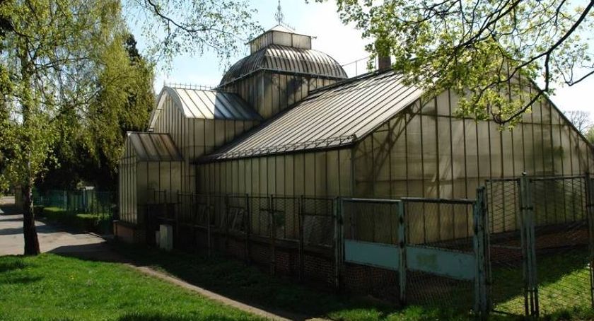 Miasto chce odrestaurować zabytkową palmiarnię w parku