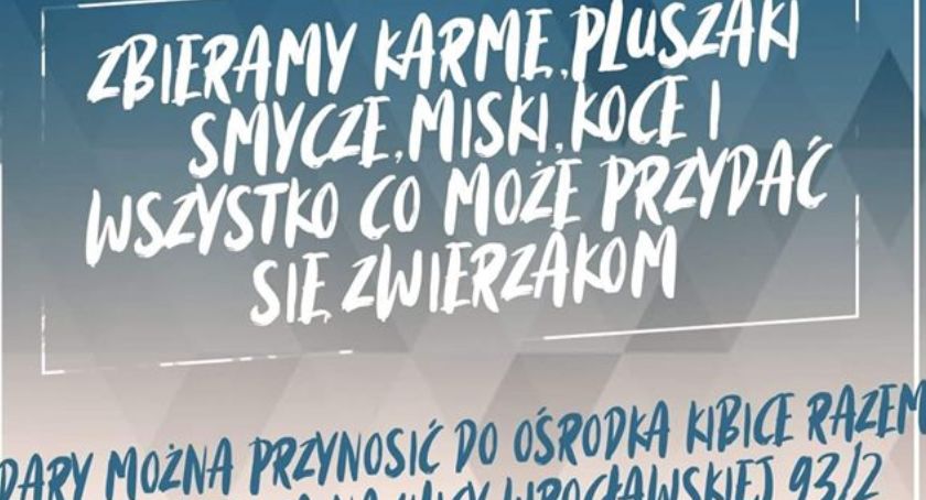 Kolejna akcja kibiców Miedzi. Tym razem zbierają karmę dla zwierząt