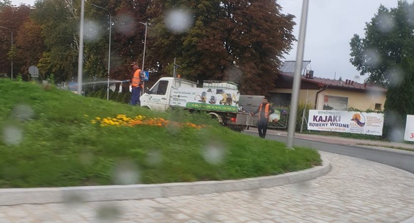 W Legnicy stabilnie. Nadal deszcz nie przeszkadza w podlewaniu kwiatków