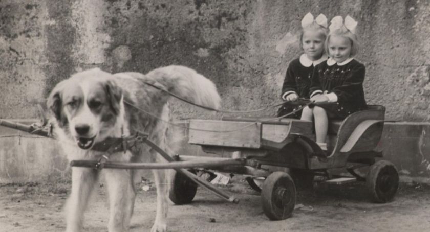 Legnicki Almanach - nowa publikacja na temat powojennej historii miasta