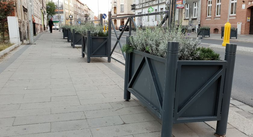 Legnica ubezpieczy się w Compensie. Ile zapłacimy za trzy polisy?