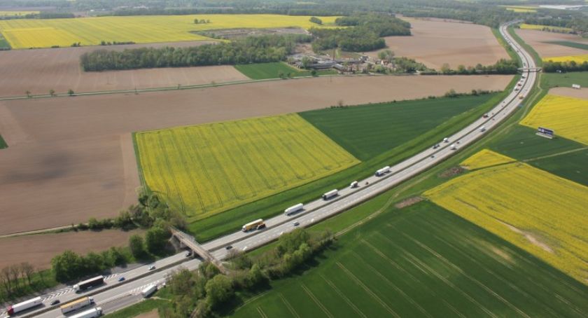 GDDKiA stawia płot wzdłuż A4, by zatrzymać migrację dzików