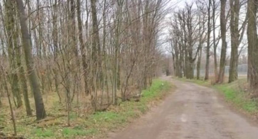 Ulica Pawicka już posprzątana! Brawo miejskie służby! [ZDJĘCIA]