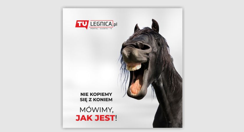 Rekordowa oglądalność portalu tuLegnica.pl! 310.000 użytkowników!!!