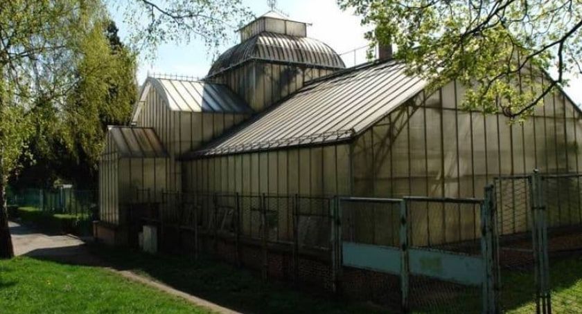Miasto chce ruszyć z remontem zabytkowej palmiarni w parku