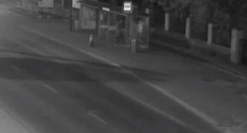 Zobaczcie, jak kretyn zaatakował przystanek autobusowy [WIDEO]