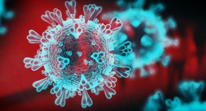Legnicki sanepid otrzymał rekordową ilość wyników testów na koronawirusa