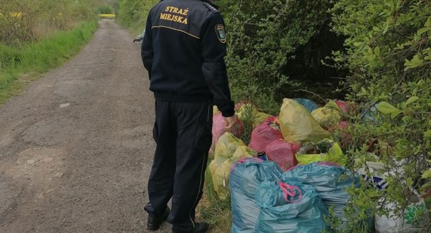 Tak brudasy pozbywają się domowych śmieci w Legnicy! [ZDJĘCIA]