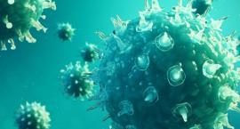 Aktualna sytuacja epidemiologiczna w Legnicy i powiecie legnickim 